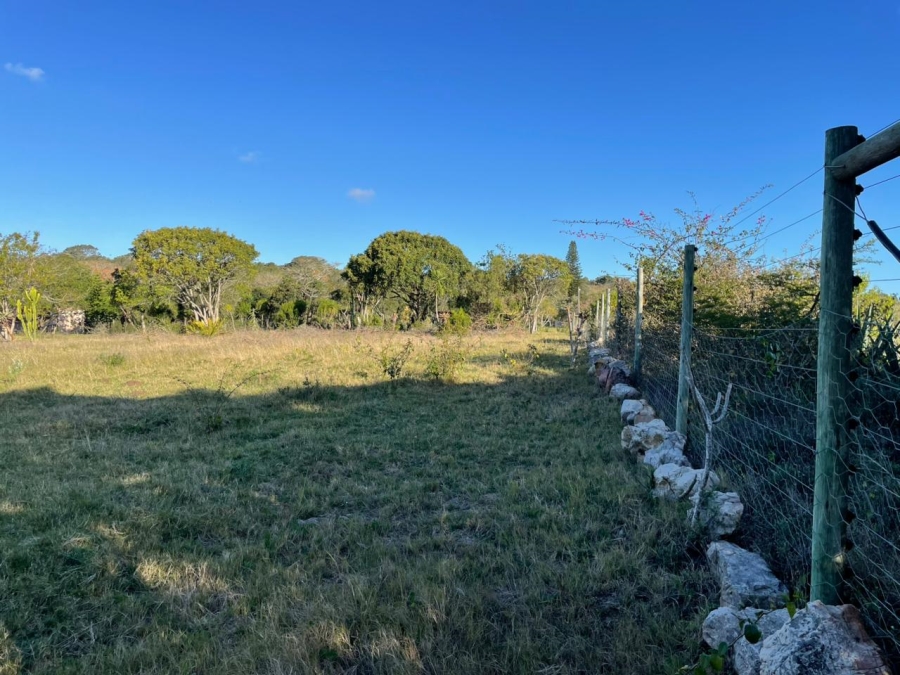 0 Bedroom Property for Sale in Bathurst Eastern Cape